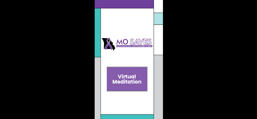 10. Virtual Mediation